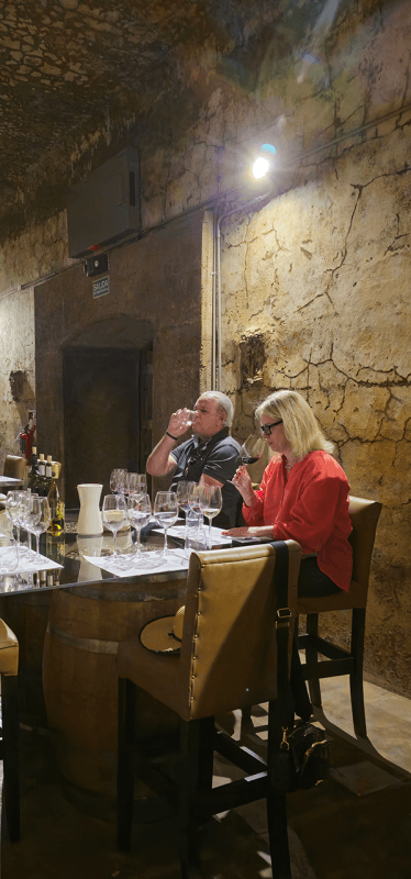 20231206_110548_resized-01-374x800